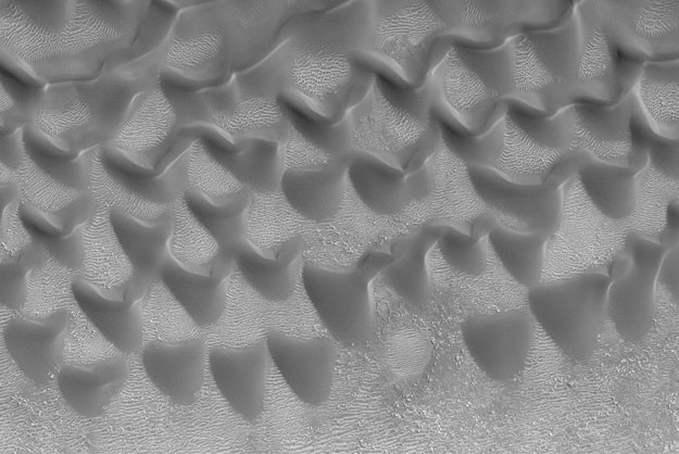 Champ de dunes martiennes. Crédit : Nasa