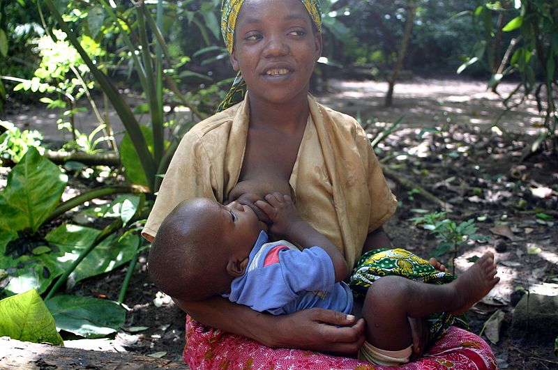 L'OMS recommande aux mères d'allaiter leur bébé jusqu'à 6 mois. Des antiviraux sont prescrits aux&nbsp;enfants dont les mères&nbsp;séropositives allaitent.&nbsp;© Brocken Inaglory, Wikimedia Commons, cc by sa 3.0