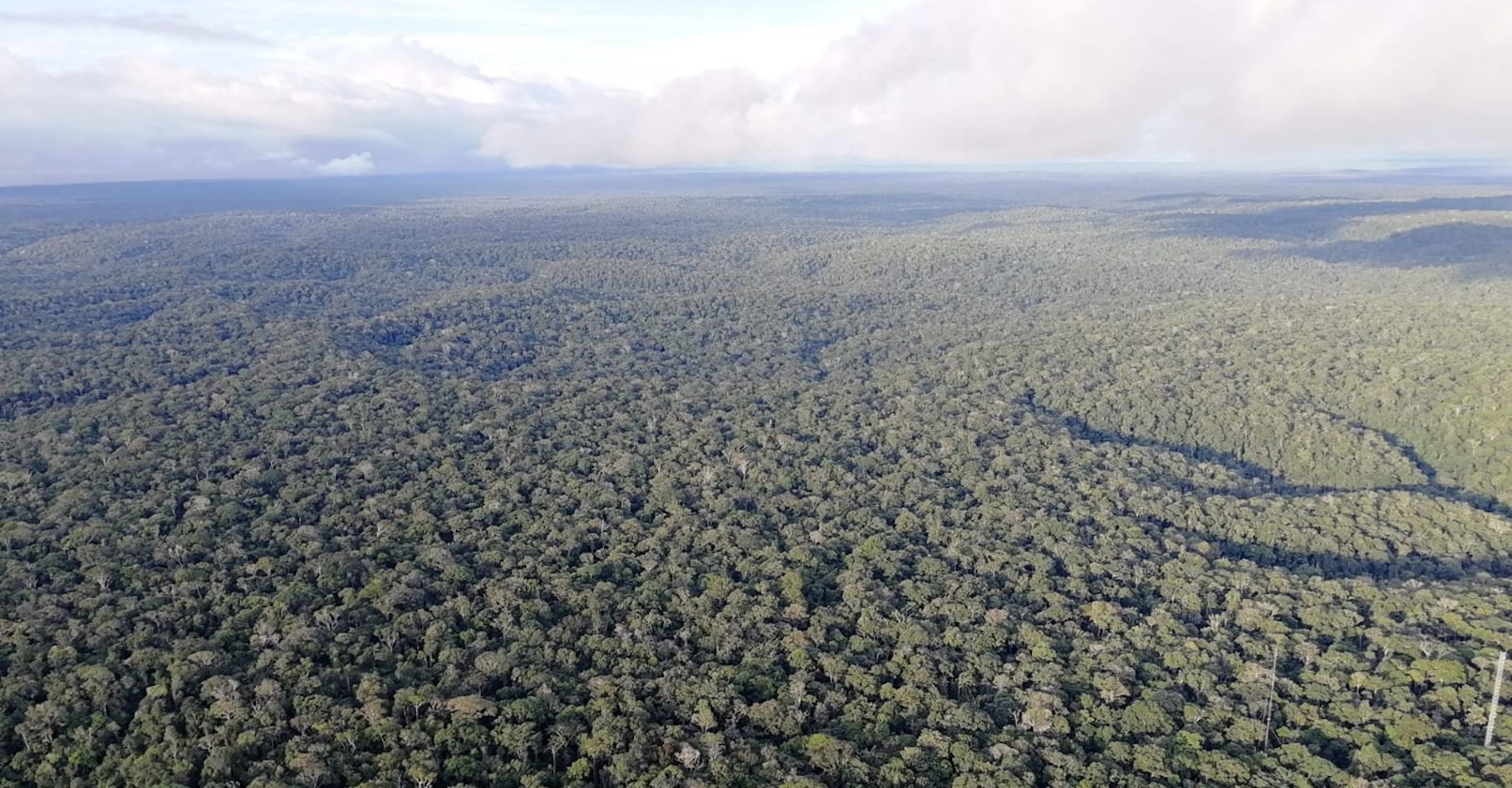 Des chercheurs de l’université de Leeds (Royaume-Uni) montrent comment la déforestation assèche les tropiques. Au cœur de la forêt amazonienne — ici en photo – comme ailleurs. © Jess Baker, University of Leeds