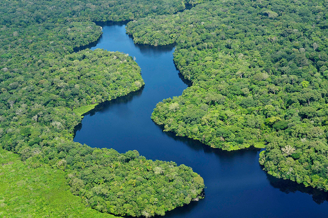 La forêt amazonienne, qui recouvre une surface de 5,5 millions de km2, se partage entre neuf pays : la Bolivie, le Brésil, la Colombie, l'Équateur, la France (avec la Guyane), le Guyana, le Pérou, le Surinam et le Venezuela. Même si un modèle climatique affirme le contraire, elle devrait mieux supporter le réchauffement climatique qu'on le pensait. © Cifor, Flickr, cc by nc nd 2.0