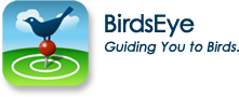 BirdsEye, une application pour iPhone qui vous guide jusqu’aux oiseaux de votre entourage. © eBird