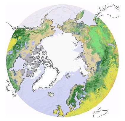 Océan Arctique. Arctic Environment Atlas. Source : Nations-Unies