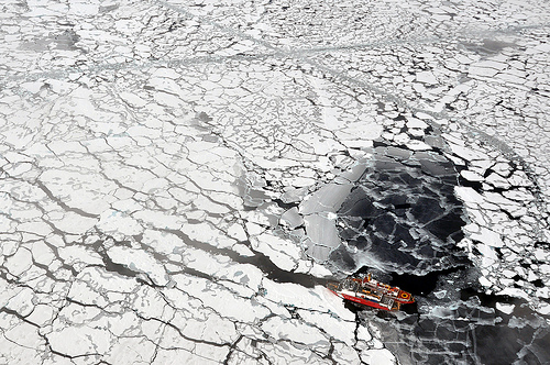 La surface de la banquise de l'Arctique a-t-elle battu un record minimum ? &copy;&nbsp;US Ecological Survey, Flickr, cc by 2.0