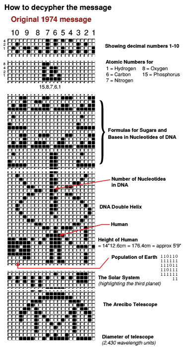 L'information arrangée selon 73 lignes et 23 colonnes donne une image. Si on lit de droite à gauche, les nombres de 1 à 10 : les numéros atomiques de l'hydrogène, du carbone, de l'azote, de l'oxygène et du phosphore. Ensuite,&nbsp;les formules chimiques des sucres et des bases dans les nucléotides de l'ADN, puis&nbsp;les nombres de nucléotides dans l'ADN et la structure en double hélice de l'ADN. Enfin, un croquis de l'être humain et sa taille, la population de la Terre, le Système solaire, et une image du radiotélescope d'Arecibo avec son diamètre. ©&nbsp;Dave Cosnette