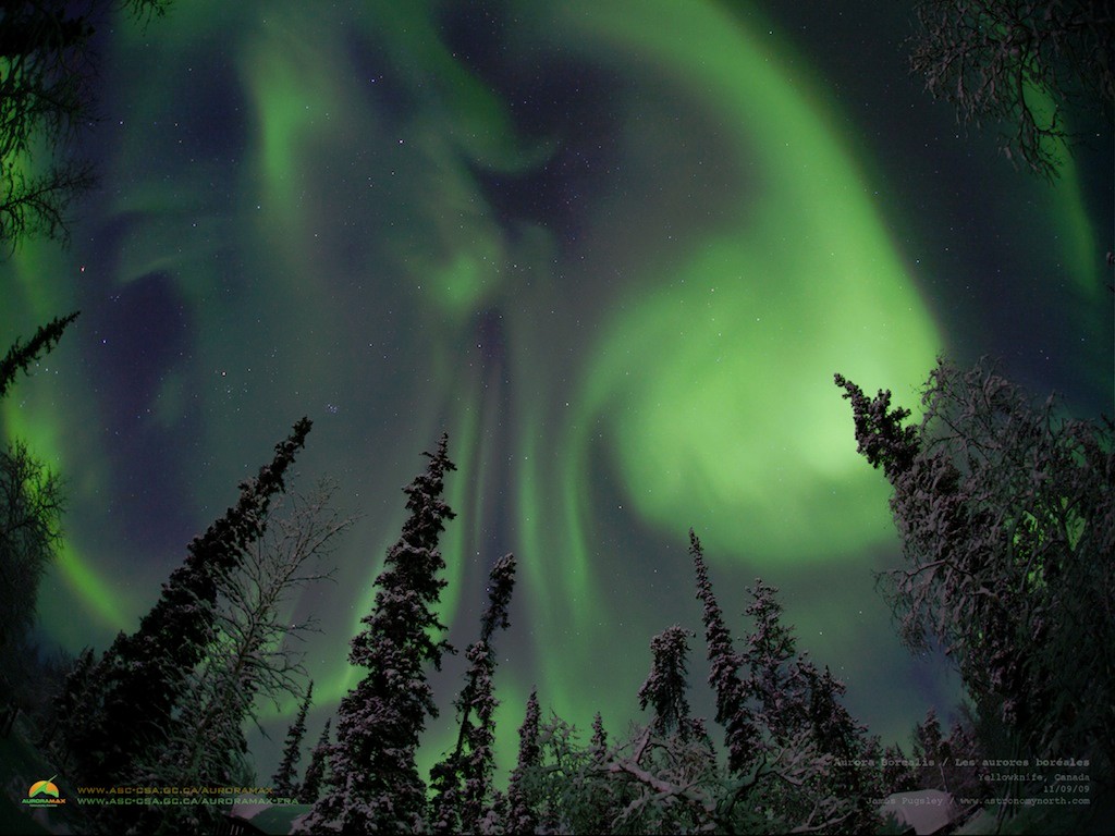 Cette très belle aurore boréale est proposée comme fond d'écran sur le site de l'Agence Spatiale Canadienne. Crédit AuroraMax  
