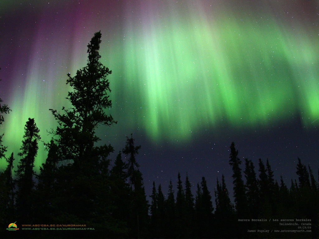 Une aurore polaire photographiée depuis le sol canadien : un magnifique spectacle qu'on peut suivre presque chaque nuit en direct sur le site Internet AuroraMax. © AuroraMax 