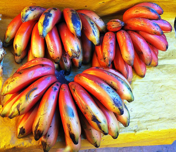 Le chlordécone était répandu sur les bananes qui, par la même occasion, s'imprégnaient du pesticide et devenaient impropres à la consommation car dangereuses. © Thermadatter, Wikipédia, cc by sa 3.0