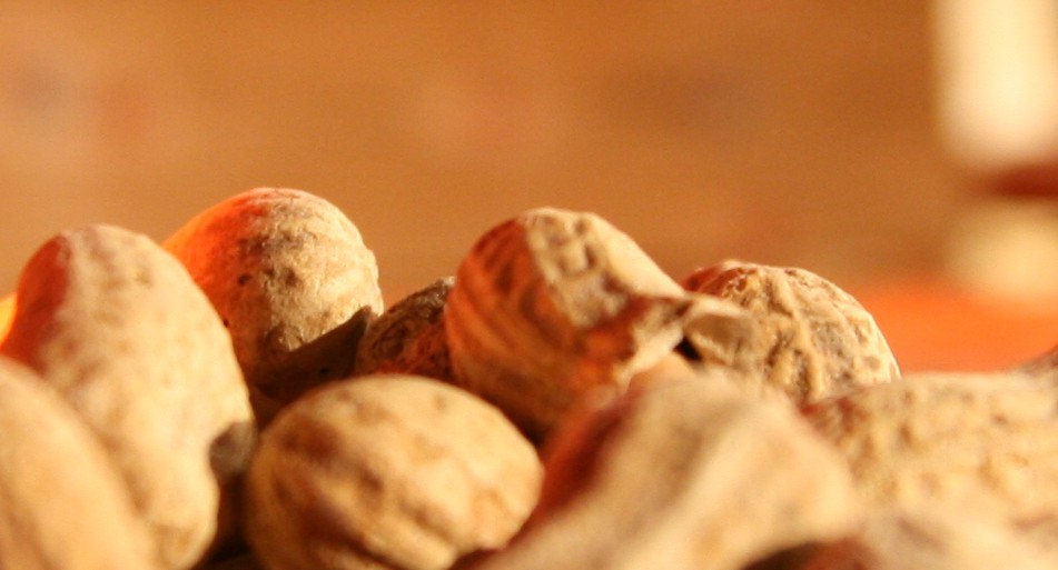 Dans une étude précédente, les chercheurs étaient parvenus à désensibiliser les enfants allergiques à l’arachide. Mais pas à les guérir. Cette nouvelle recherche fera-t-elle mieux ? © Mil8, Flickr, cc by 2.0