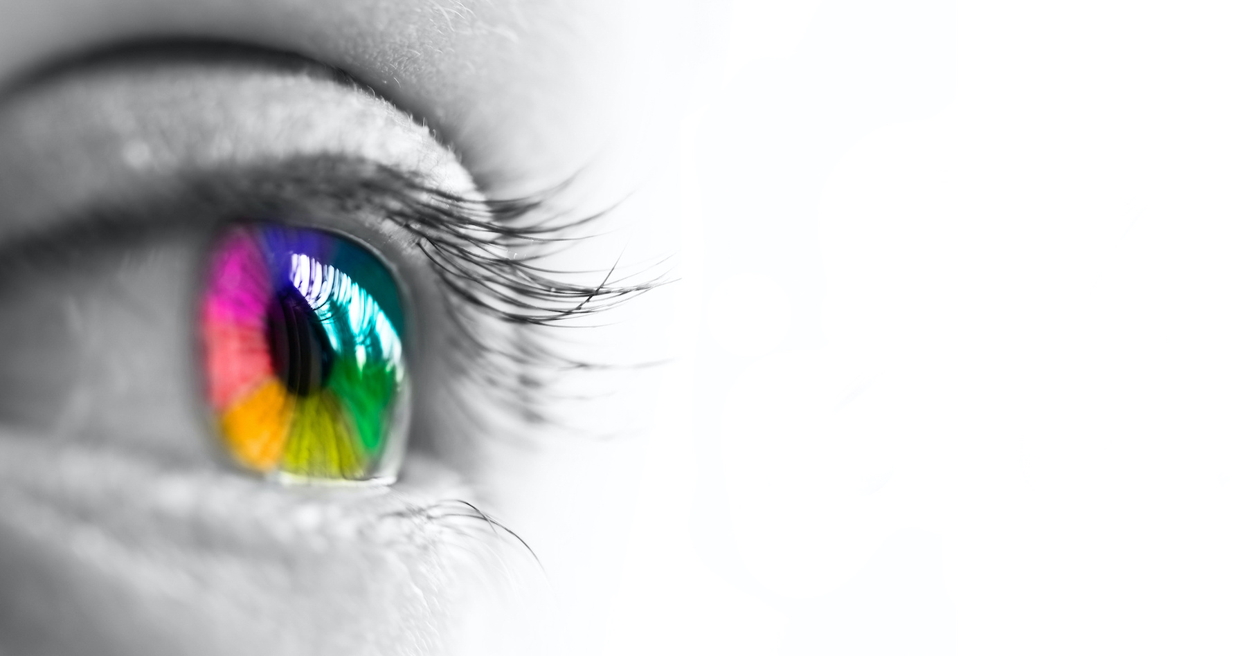 Dans le domaine des infrarouges, il est des « couleurs » que l’œil humain ne peut pas distinguer. Une caméra développée par des chercheurs de l’université de Tel-Aviv (Israël) peut l’y aider. © Delphotostock, Adone Stock