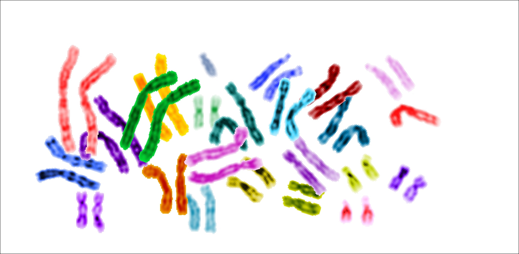 Normalement, nous sommes tous équipés de&nbsp;chromosomes regroupés en paires. Mais les trisomiques disposent d'un trio de chromosomes 21, ce qui entraîne un certain nombre de symptômes, que les scientifiques pensent prochainement pouvoir limiter.&nbsp;© NIH, Wikipédia, DP