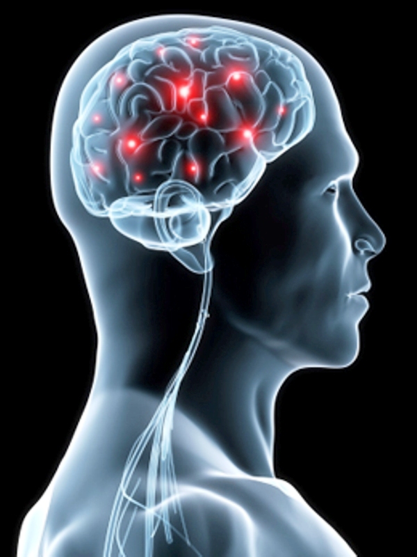 Le cerveau humain et son amélioration est probablement l'un des grands défis de la science du XXIe siècle. © Mind Nutrition