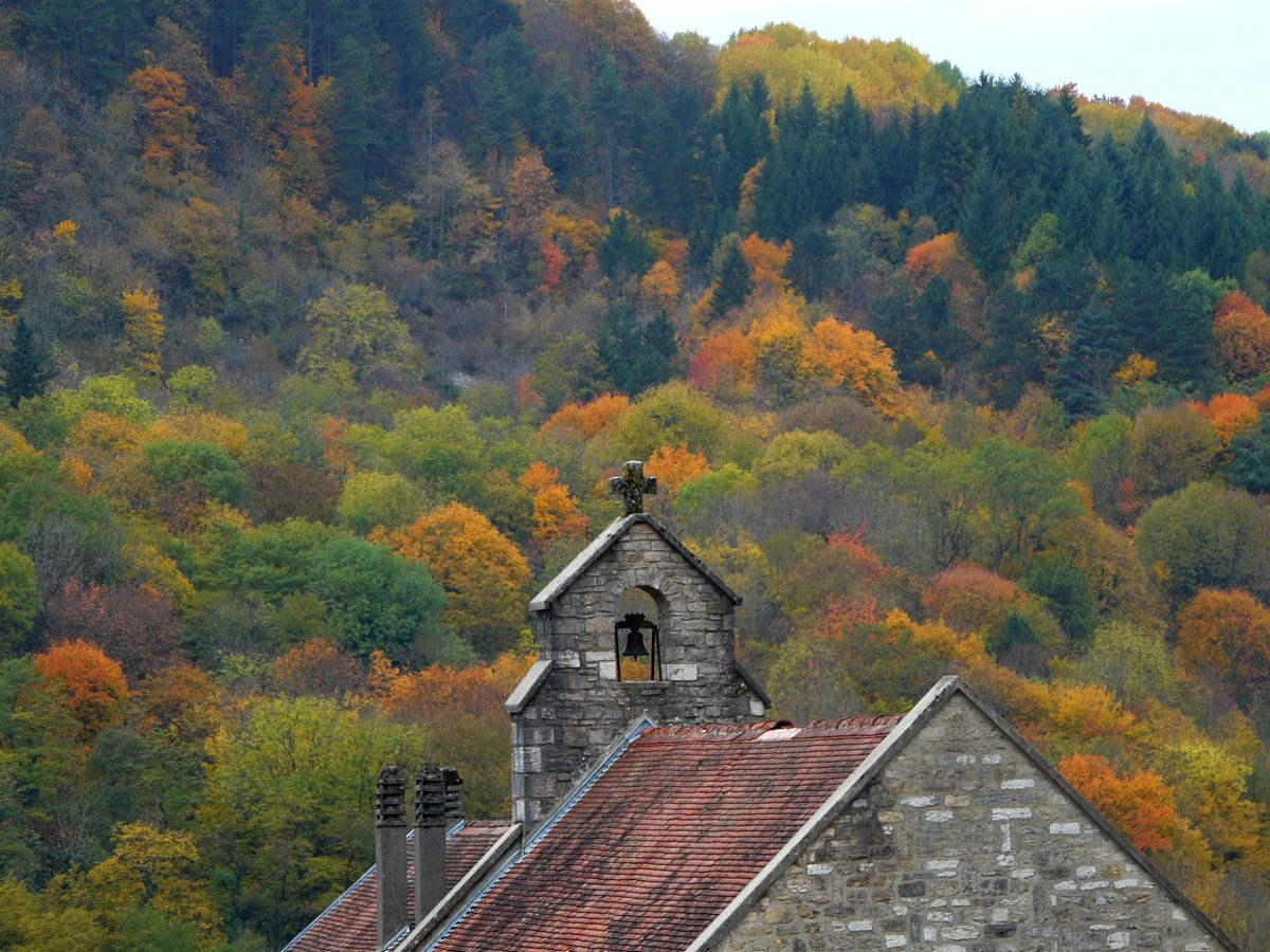 L'automne est synonyme de forêts aux couleurs flamboyantes. Ces paysages se montreront très bientôt puisque l'automne commence cette année le 22 septembre. © Jean-Baptiste Feldmann