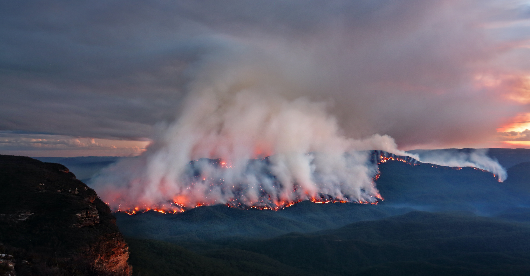 En Australie, les feux de brousse en déjà décimé quelque 10 millions d’hectares depuis le mois de septembre dernier. Et au fil des semaines, la liste des conséquences s’allonge inexorablement. © Leah-Anne Thompson, Adobe Stock