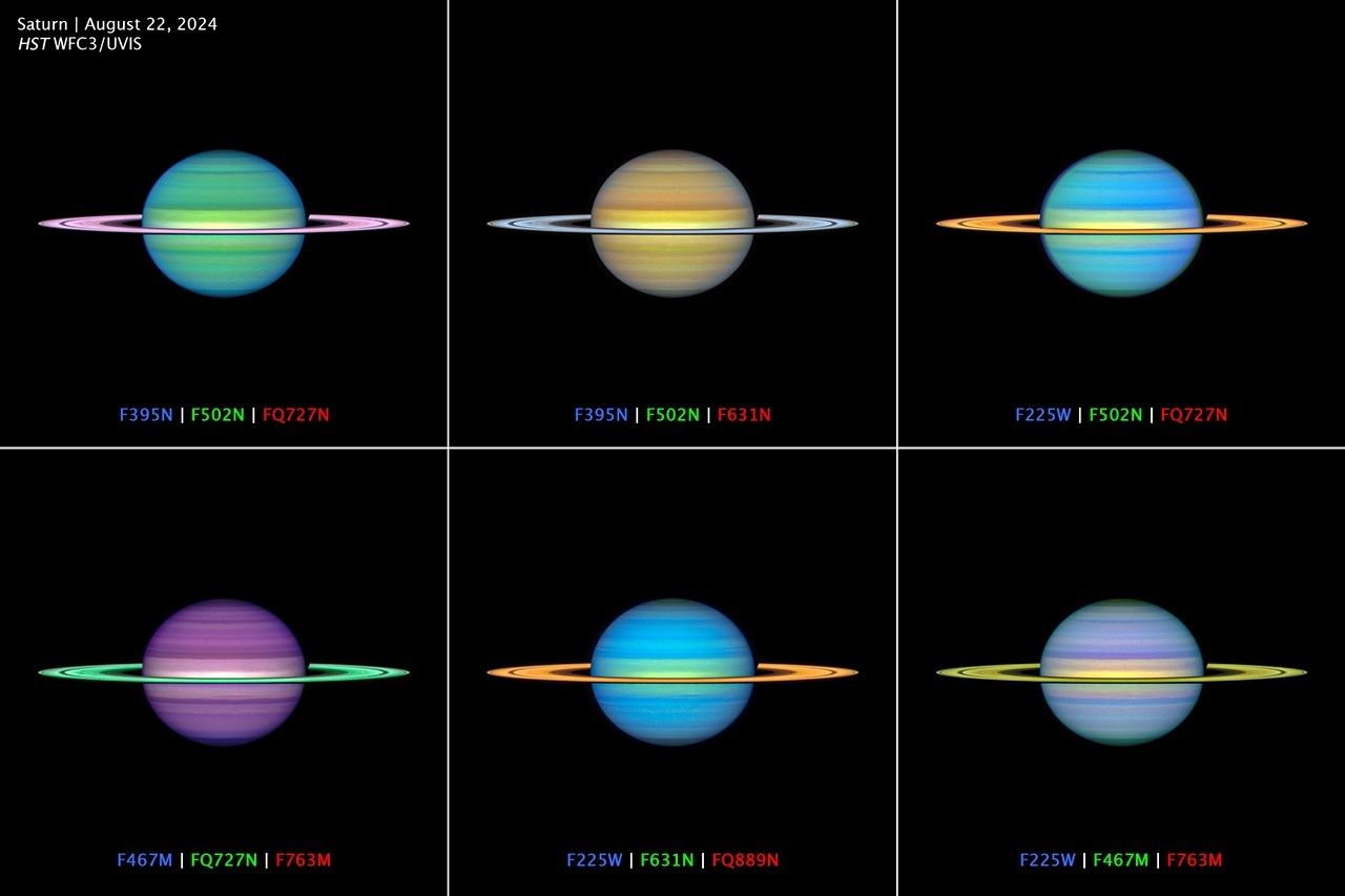 Image du site Futura Sciences