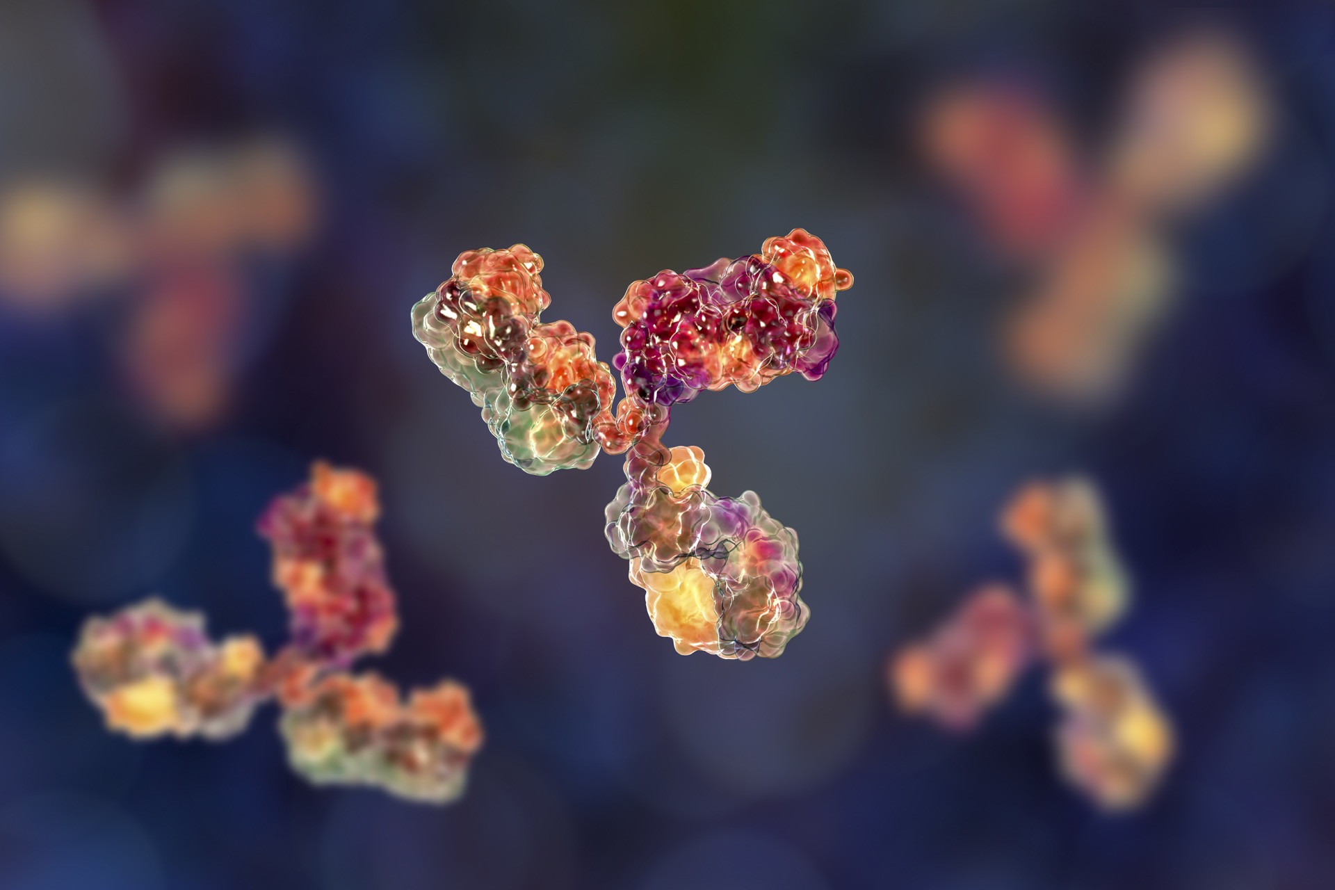 Illustration 3D d'un modèle moléculaire d'anticorps participant à la défense immunitaire. © Kateryna_Kon, Adobe Stock