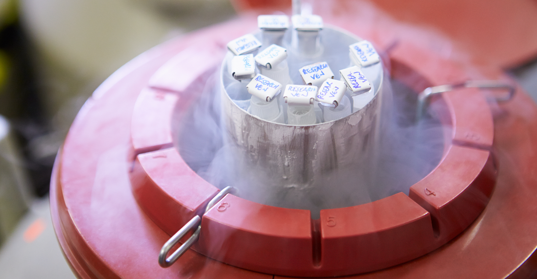 L’azote liquide est l’un des éléments clés de la cryogénie, ici pour la conservation de sperme. © Monkey Business Images, Shutterstock