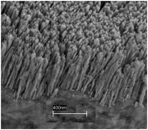 Une image prise au microspoce électronique des nanobarreaux en cuivre. Crédit : Rensselaer Inst./Koratkar