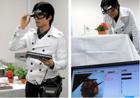 A gauche, le dispositif complet. A droite, les cyber goggles identifiant un pétunia (apparaissant sur l’écran témoin avec sa dénomination). Crédit Université de Tokyo