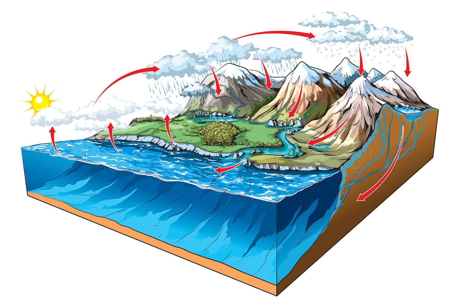 Le cycle de l’eau, ici sur ce schéma, désigne le parcours de l’eau, sous différentes formes, entre les grands réservoirs de la nature que sont, par exemple, les océans, les nappes phréatiques ou l’atmosphère. © NoPainNoGain, Shutterstock