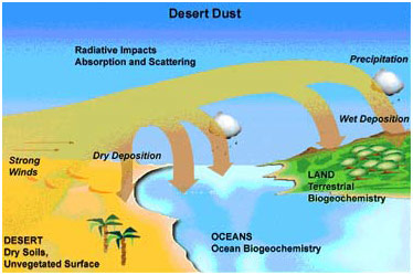 Le sable du désert est un puissant aérosol. Transporté par des vents forts (strong winds sur la carte), les particules peuvent se répandre sur les surfaces continentales ou dans les océans. Dans l'atmosphère, elles auront un effet radiatif (radiative impacts), pouvant contribuer autant au refroidissement qu'au réchauffement de l'atmosphère. Les aérosols peuvent perturber les cycles biogéochimiques terrestres et océaniques. © NCAR