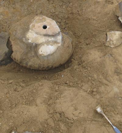 Cette ammonite a été extraite en 2009 du sol de l’île James Ross (Antarctique). Un mini-carottage a été réalisé en son centre (au niveau du trou). Une datation par magnétostratigrahie a ensuite été pratiquée sur l'échantillon. Cette technique repose sur l’analyse des variations du champ magnétique terrestre qui sont survenues du vivant de l’animal. © Thomas Tobin, U. of Washington