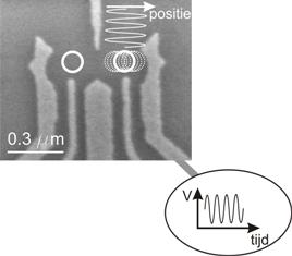Image (en microscopie électronique) d’un montage nanométrique en or. Un champ électrique alternatif provoque le mouvement d’un électron piégé. Dans son référentiel, celui-ci subit alors un champ magnétique. © Kavli Institute of Nanosciences