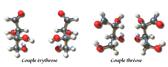 Chaque sucre peut adopter deux configurations différentes avec les mêmes constituants. Généralement, seule l'une de ces formes est biologiquement active. Cette caractéristique revêt une importance considérable pour l'industrie pharmaceutique car 2 isomères d'une même molécule peuvent posséder des propriétés différentes. © Université en ligne