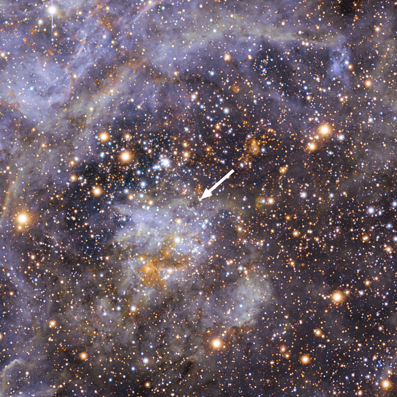 VFTS 102, l'étoile dont la rotation sur elle-même dépasse les 2 millions de km/h, se trouve dans la nébuleuse de la Tarentule. © ESO/M.-R. Cioni/Vista Magellanic Cloud survey
