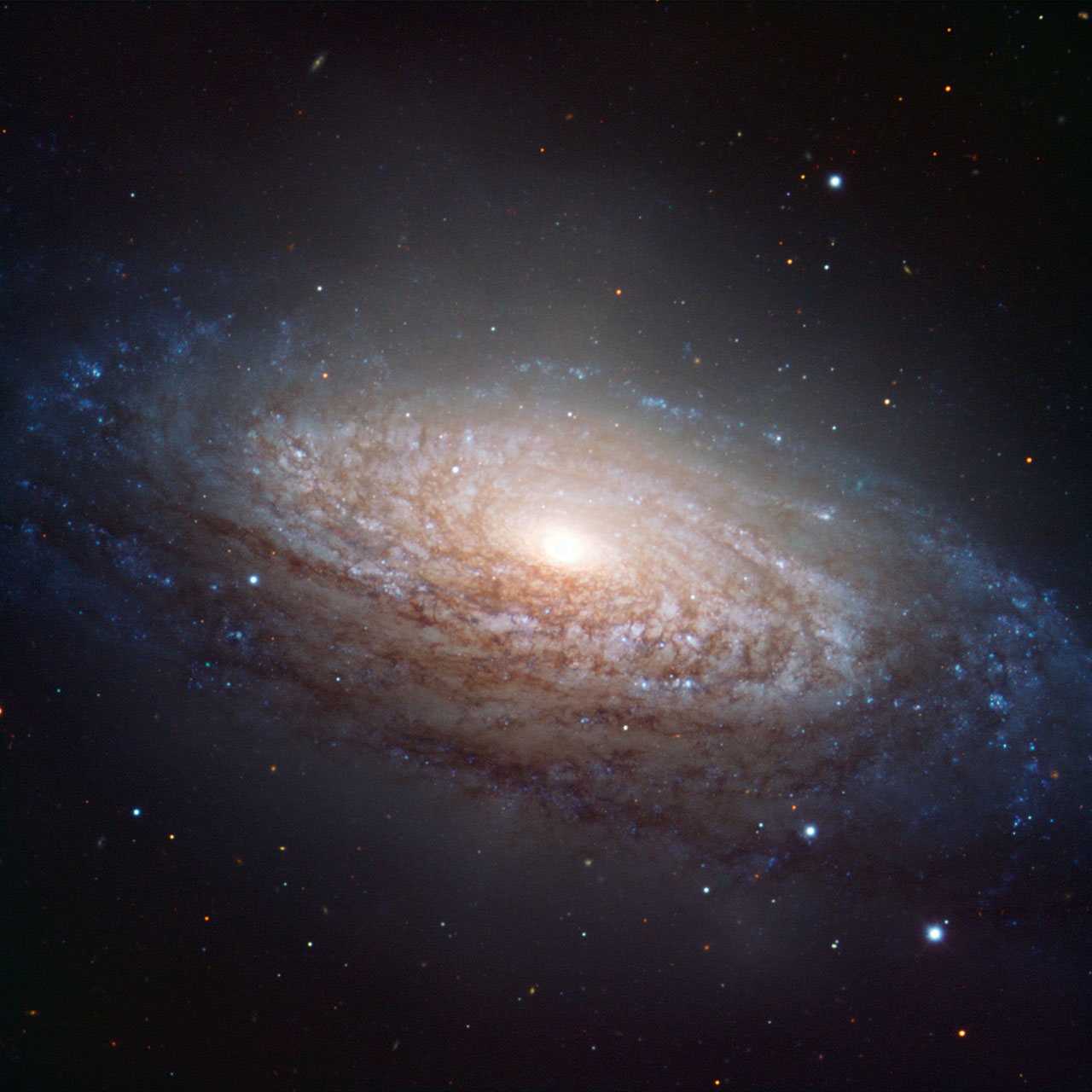 NGC 3521, la galaxie floconneuse de la constellation du Lion. © ESO/O. Maliy