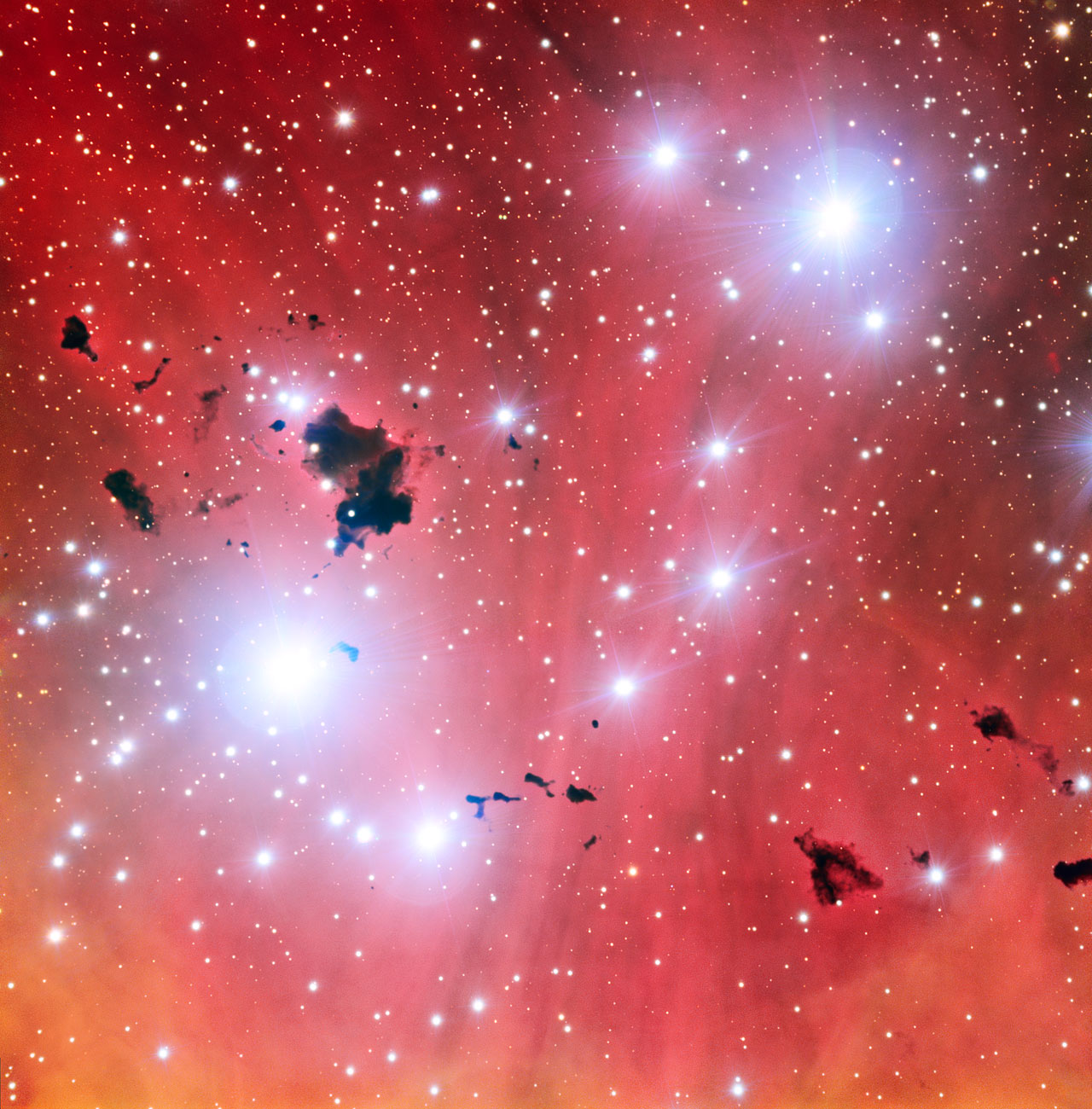 La publication de cette nouvelle image de la spectaculaire pépinière d'étoiles IC 2944 célèbre un événement important : les 15 années du VLT (Very Large Telescope)&nbsp;de l'ESO. Elle montre également un ensemble d'épais nuages de poussière, les globules de Thackeray, qui se détachent du gaz légèrement teinté de rose de la nébuleuse. © ESO