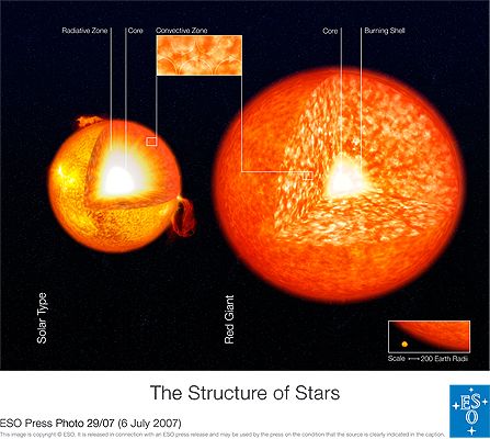 Taille comparée de la zone convectrice (orange) par rapport au noyau (blanc) d'une géante rouge (à droite) par rapport à une étoile de type solaire (à gauche). Crédit ESO.