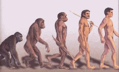Les ancêtres de l'Homme ont remanié quelques portions de leur génome, mais lesquelles ? . © DR