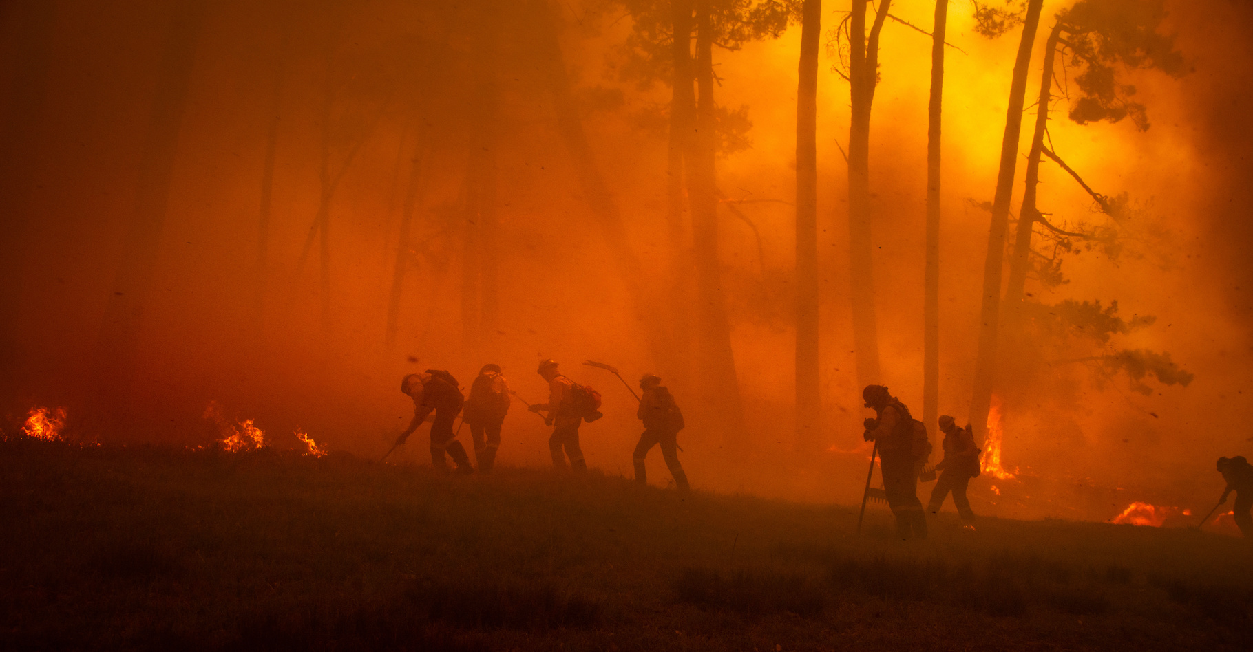 En Gironde et dans les Landes aussi cette fois, la forêt est à nouveau en feu depuis ce mardi 9 août 2022. © Patrick Ryan, Adobe Stock