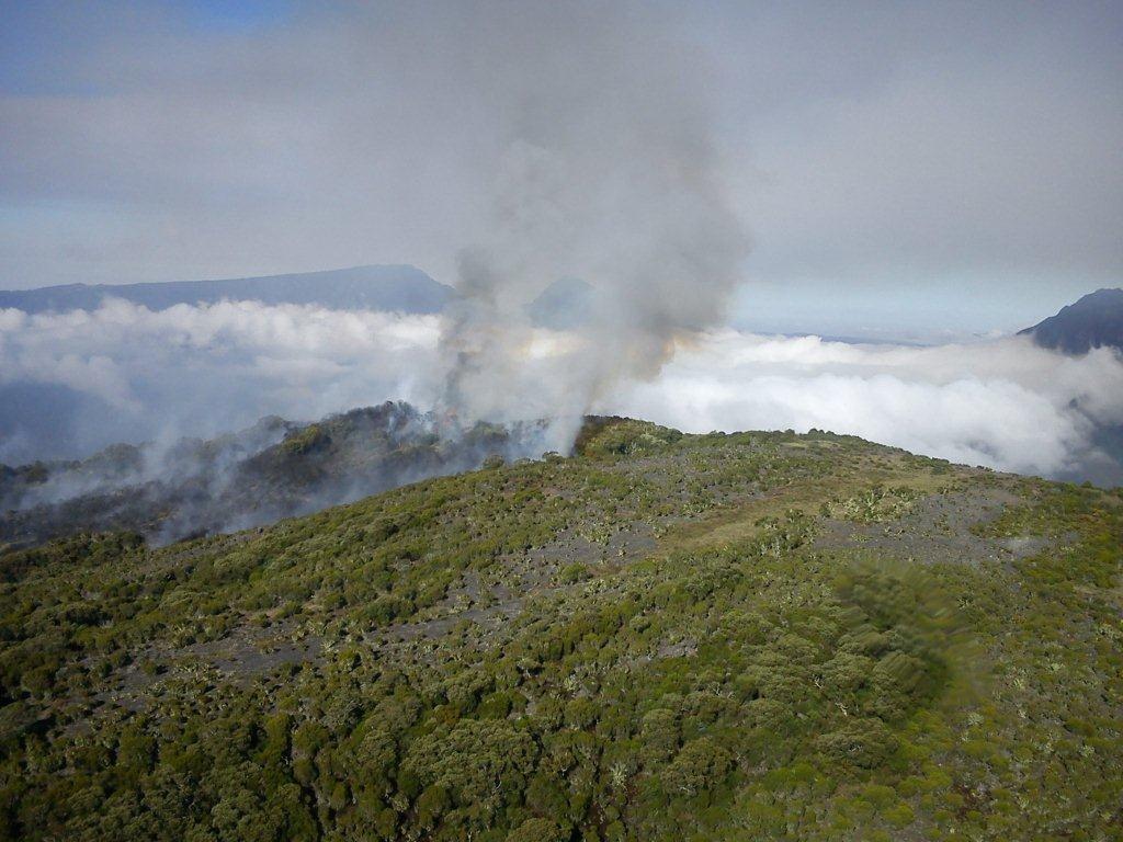 L'incendie de l'île de la Réunion ne progresse plus. &copy; État de la Réunion
