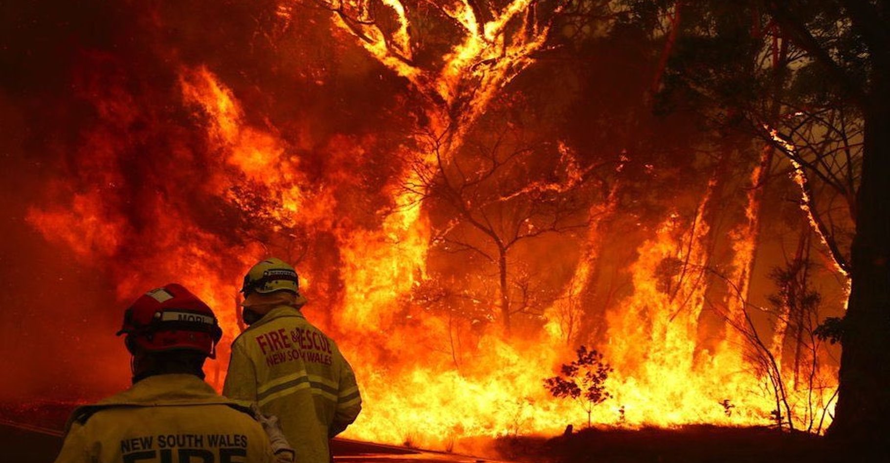 En Australie, les feux de brousse ont des conséquences en Nouvelle-Zélande dès maintenant. © @IsraelYvenson, Twitter