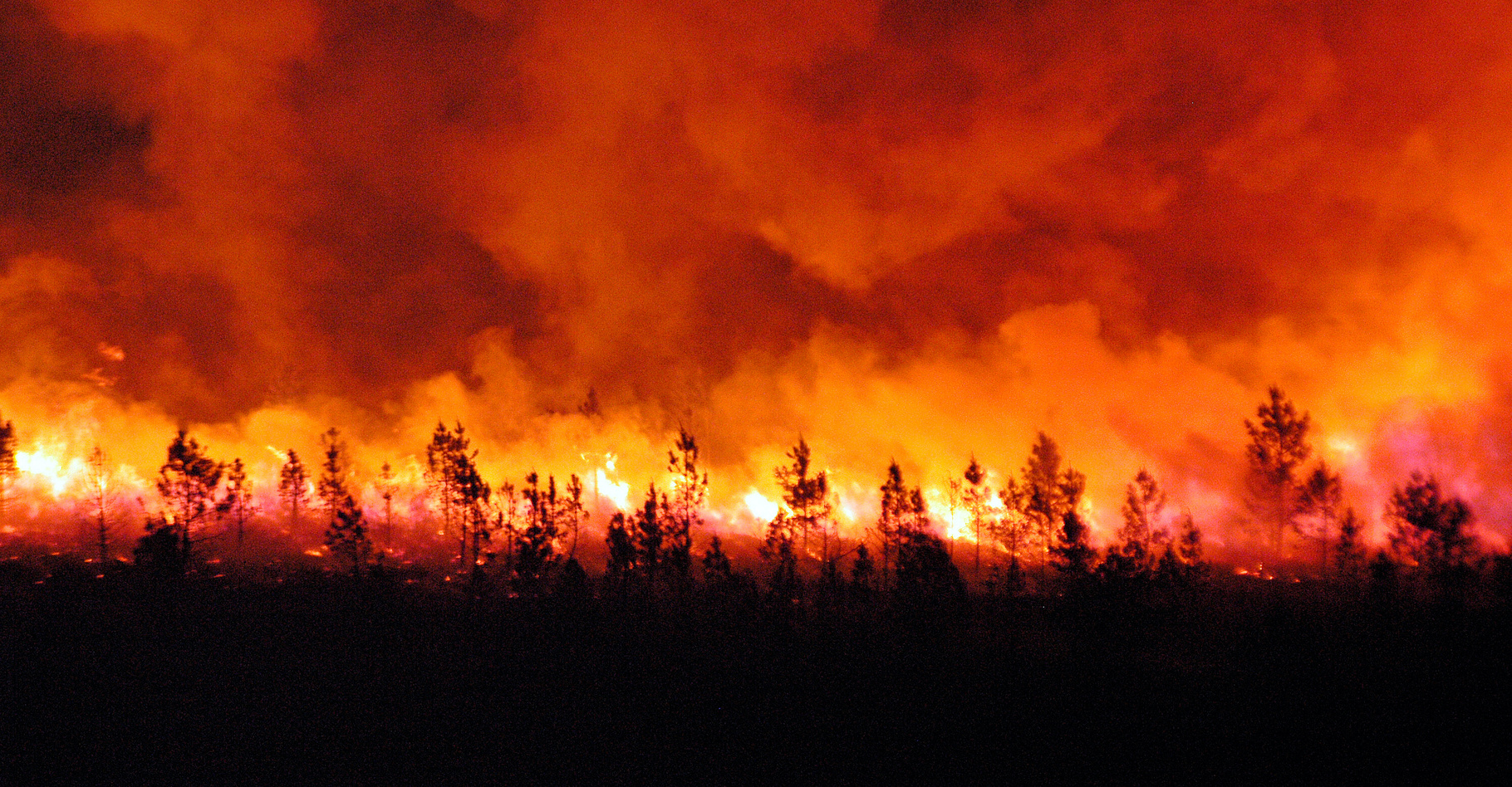 Les modèles climatiques prévoient une augmentation de la fréquence et de l’intensité des feux de forêt. Les observations le confirment. © synto, Adobe Stock