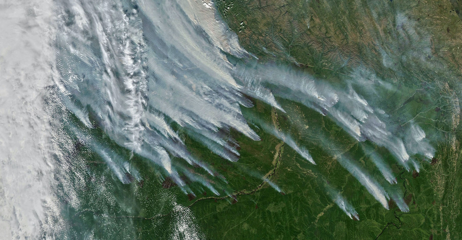 En Sibérie, les premiers feux de forêt de la saison se sont déclarés dès le mois de mai 2021. Aujourd’hui, ils atteignent des intensités record. © Nasa Earth Observatory