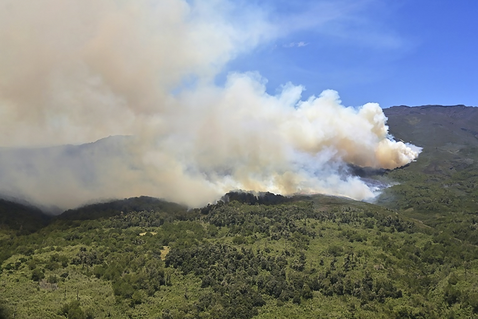 Incendie de forêt dans le parc national du Mont Kenya, le 1er mars 2019. © Tony Karumba, AFP, Archives