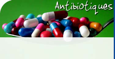 Santé > Antibiotiques