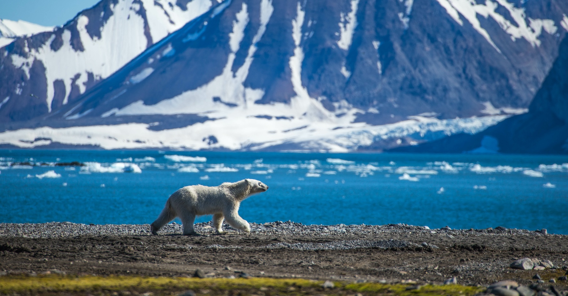 Des chercheurs de l’université du Massachusetts à Amherst (États-Unis) montrent un lien entre la fonte accélérée du Svalbard et un phénomène météo connu sous le nom de blocage atmosphérique. © KrisGrabiec, Adobe Stock