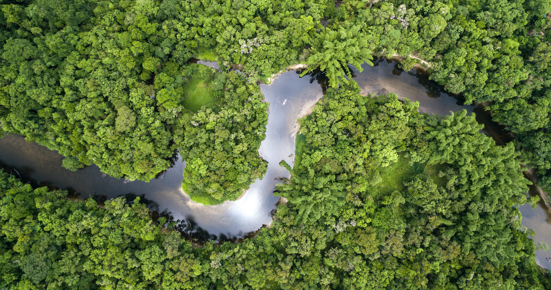 Au moins 58 millions d’années que la forêt amazonienne évolue. Mais les activités humaines pourraient la conduire vers un point de non-retour qui la mènerait à sa perte en seulement 50 ans. © gustavofrazao, Adobe Stock