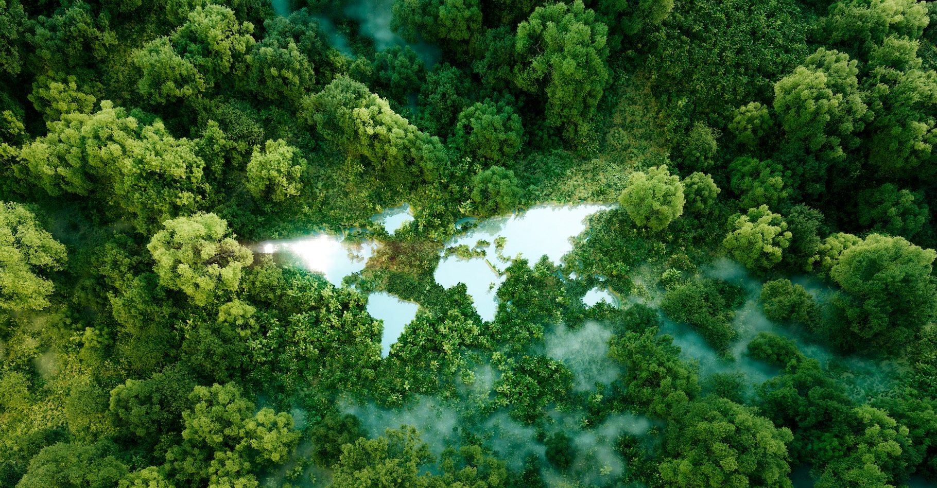 Des chercheurs ont analysé la capacité de la forêt à éliminer du dioxyde de carbone (CO2) de notre atmosphère. Malgré des menaces régionales, les forêts du monde continuent d’être une arme puissante dans la lutte contre le changement climatique. © malp, Adobe Stock