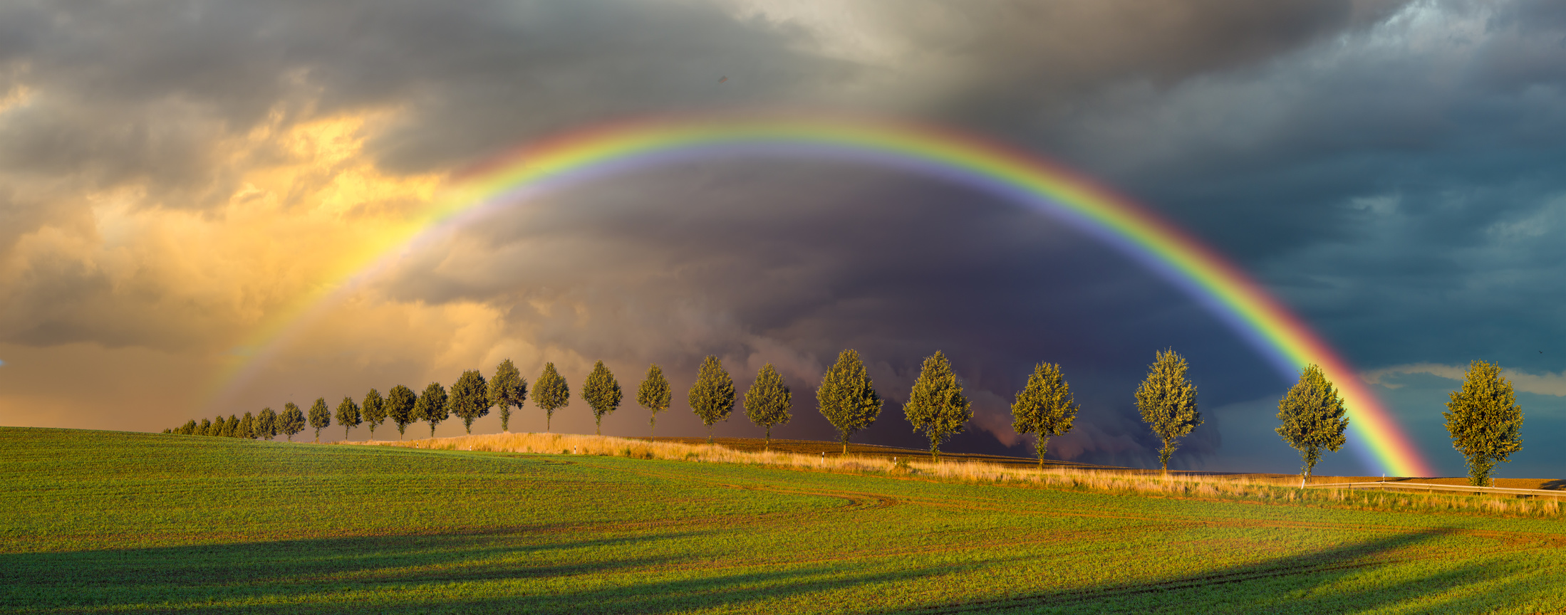 Un arc-en-ciel est un phénomène optique faisant intervenir des gouttes d'eau et la lumière du soleil. © Mike Mareen, Fotolia