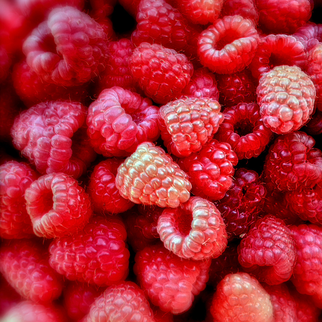 Environ 1,7 million de vies pourraient être épargnées chaque année si nous mangions suffisamment de fruits et légumes (source : OMS). © Ametxa, Flickr, CC by-nc-nd 2.0