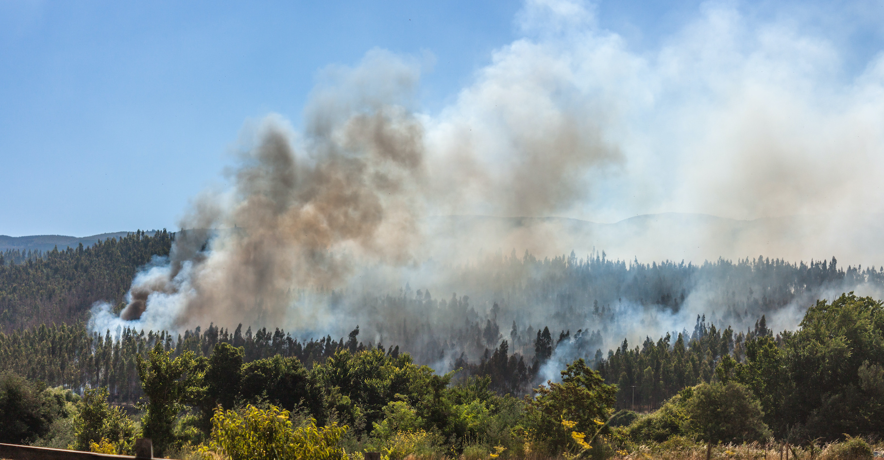 Des chercheurs du NorthWest Research Associates (États-Unis) ont étudié l’effet des fumées issues des feux de forêt sur les nuages et la formation des pluies. © Natalia, Adobe Stock