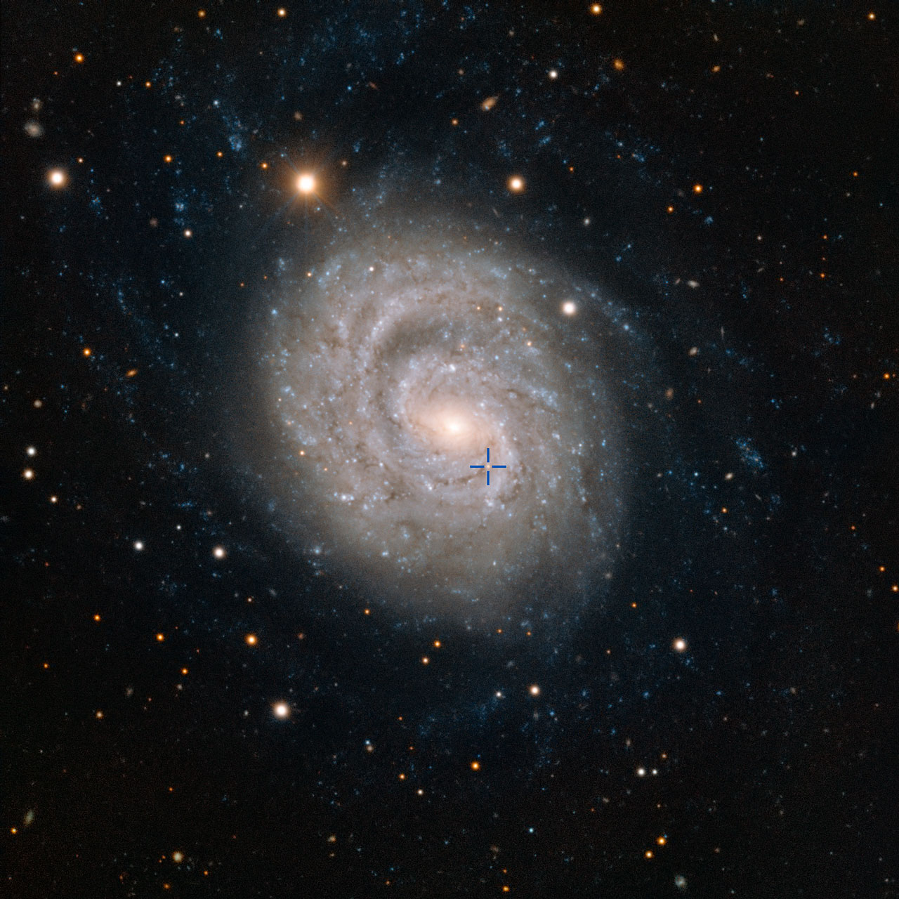 Cette image acquise par le Very Large Telescope de l'ESO à l'observatoire de Paranal au Chili montre NGC 1637, une galaxie spirale située à environ 35 millions d'années-lumière dans la constellation de l'Éridan (la Rivière). En 1999, les scientifiques ont découvert une supernova de type II dans cette galaxie, et ont suivi son lent déclin en luminosité au fil des années. La position de la supernova est précisée par la croix bleue. © ESO