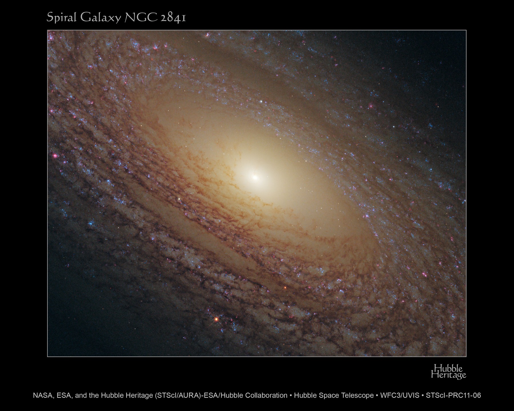 NGC 2841, une galaxie pauvre en pouponnières d'étoiles. © Nasa, Esa, the Hubble Heritage (STScI/AURA)-Esa/Hubble Collaboration
