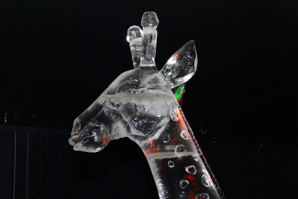 Sculpture sur glace girafe, à Madurodam, aux Pays-Bas
