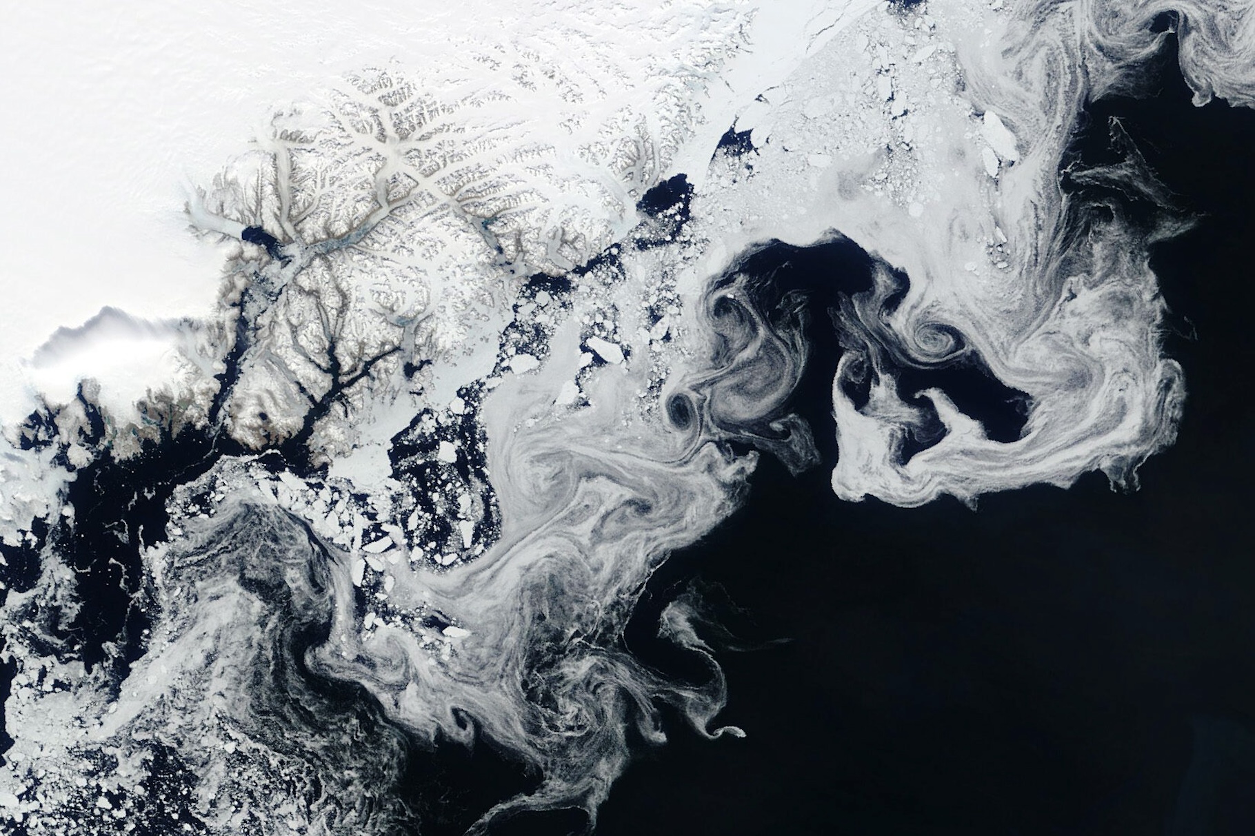 Sur cette vue du satellite Terra, des morceaux de glace de mer apparaissent sous forme de tourbillons blancs au large des côtes du Groenland. À mesure que la glace s’amincit et s’assombrit, elle reflète moins la lumière du soleil que les calottes glaciaires solides, accélérant ainsi le réchauffement climatique. Selon des chercheurs de l’université du Michigan (États-Unis), le phénomène est global. © Earth Observatory, Nasa