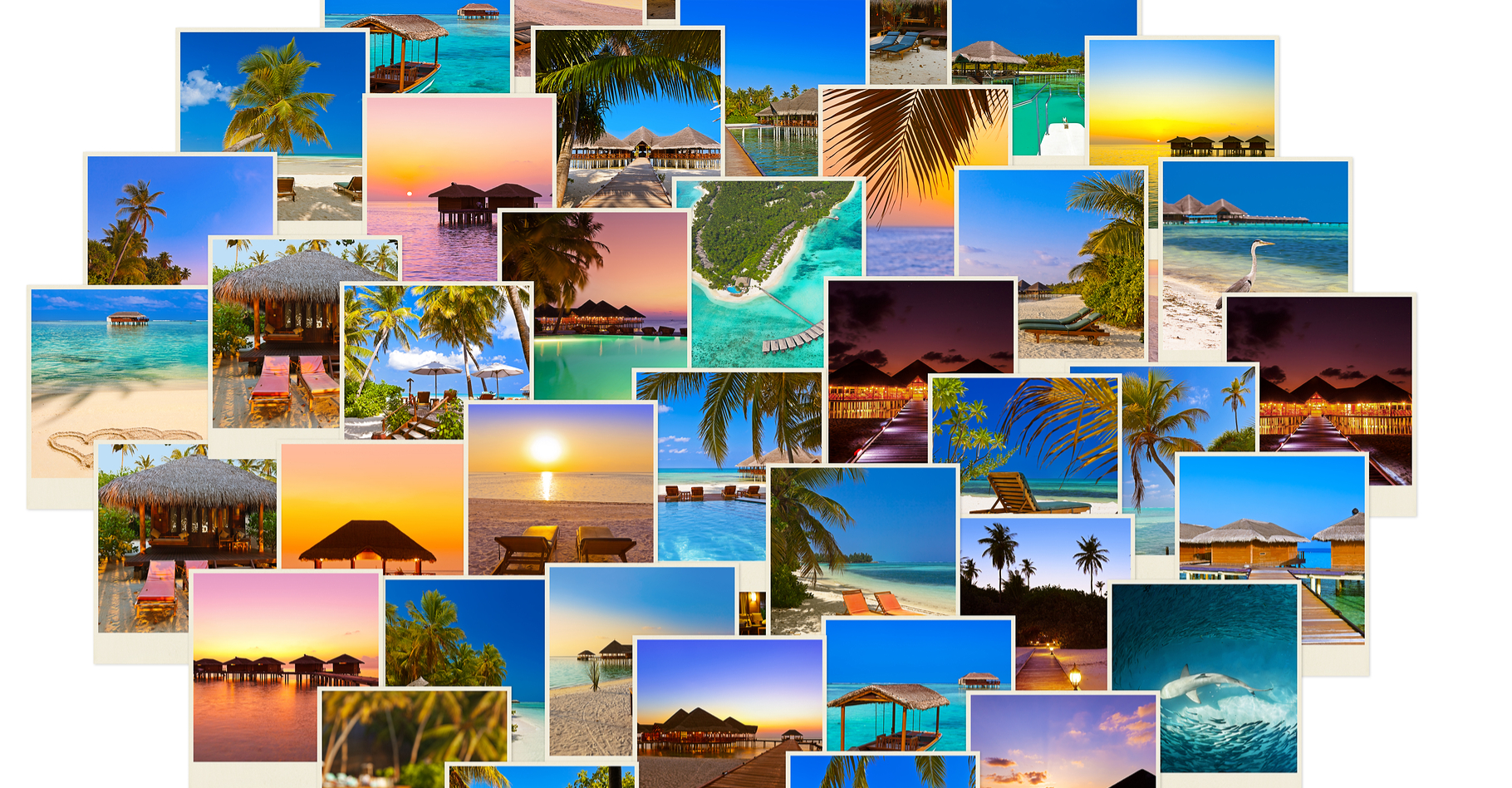 Google permet d’effectuer une recherche à partir d’une image trouvée sur Internet ou enregistrée sur son ordinateur. © , Shutterstock